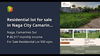 Residential lot for sale in Naga City Camarines Sur [upl. by Brantley65]