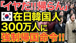 【海外の反応】日本在住の不正受給隣国人300万人に帰国命令！隣国人「ヤダ‼︎帰らん‼︎」【にほんのチカラ】 [upl. by Wachter]