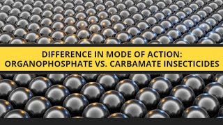 Difference in Mode of Action Organophosphate vs Carbamate Insecticideskasamacademy [upl. by Lyle]