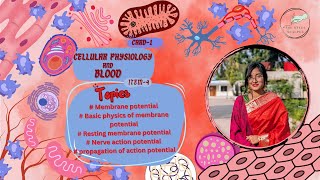 Membrane Potential and Action Potential  Cellular Physiology and Blood Item 4 [upl. by Kaplan191]