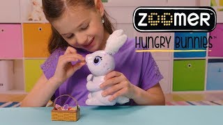 Zoomer  Hungry Bunnies  How To [upl. by Kiona]