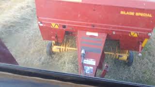 Baling hay with New Holland 648 baler [upl. by Francoise]