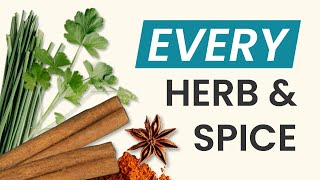 Basic Herbs amp Spices Explained [upl. by Karena402]