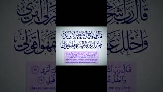 QALA RABI SHRAHLI SADRI WASIRLI AMRI egzonibrahimi quran recitation recitationofthequran will [upl. by Adair]