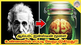 How Albert Einstein Brain is Really Different In Tamil  Click Tamilan [upl. by Odnumyer867]