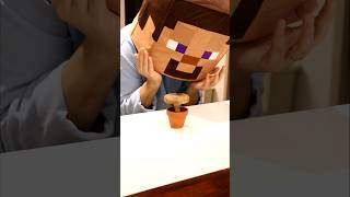 Minecraft Flower pot [upl. by Russ]