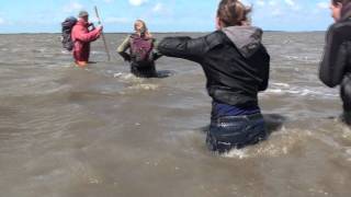 waddenzeehike end this is what you get p [upl. by Maryellen]