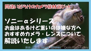 間違いだらけのカメラ機材選びch 「ソニーαシリーズお金はあるけど重いのは嫌な方へおすすめカメラ・レンズについて解説いたします」 [upl. by Aleik]