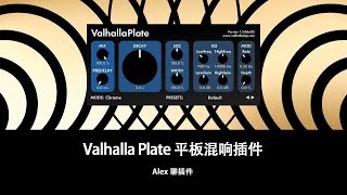 Valhalla Plate 平板混响插件  各种材质带来不同的色彩 [upl. by Aneehsyt342]