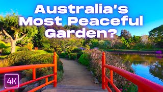 Traditional Japanese Stroll Garden  Spring Walking Tour  Toowoomba  Brisbane Day Trip  4K 60fps [upl. by Lessig]