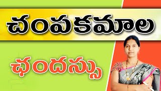 చంపకమాల ఛందస్సు 4 Champakamala [upl. by Haroppiz]