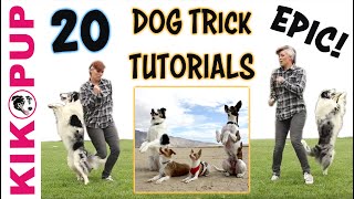 DOG TRICKS  20 Trick Tutorials [upl. by Alac287]