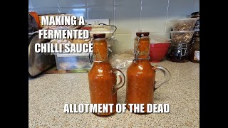 Making a fermented chilli sauce [upl. by Elades]