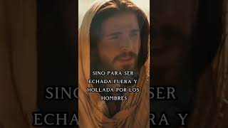 Vosotros sois la sal de la tierra hagamosviralajesus jovenescristianos iglesia videoscristianos [upl. by Eleaffar]