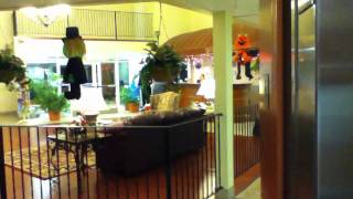 Comfort inn hotel tour Direct upload iPod touch 4th Generation 4G [upl. by Joby253]