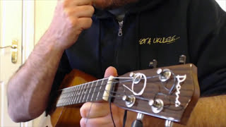 How To Adjust Ukulele Setup and Intonation  Got A Ukulele Beginners Tips [upl. by Nylatsyrc]