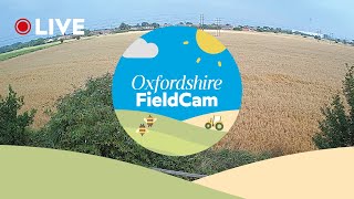 🔴 LIVE Oxfordshire FieldCam  Live Streaming from Oxfordshire UK [upl. by Falzetta]