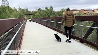 SR 516 Pedestrian Bridge Feasibility Study Information [upl. by Lesde452]