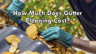 How Much Does Gutter Cleaning Cost [upl. by Grounds]