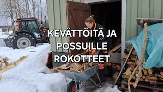 Kevättöitä ja possuille rokotteet [upl. by Arahsal]