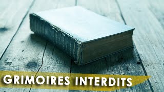 Ces grimoires sont dangereux  Je vous présente mes grimoires quotinterditsquot et leur histoire [upl. by Wichern149]