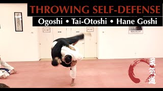 O Goshi • TaiOtoshi • Hane Goshi  Double Punch Defense  JUKIDO JUJITSU jiujitsu  jujutsu [upl. by Marjie]