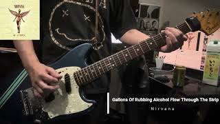 Gallons Of Rubbing Alcohol Flow Through The Strip／Nirvana cover [upl. by Coreen220]