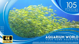 4K AQUARIUM WORLD RELAXING MUSIC  Session 105 [upl. by Amalberga]