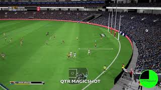 Shaun Burgoynes Goal 2013 Preliminary Final  AFL Evolution 2 [upl. by Mahon]