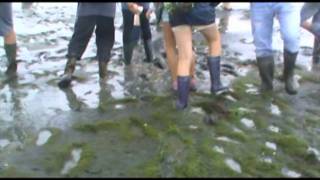 Wadlopen met kazou op ameland [upl. by Aubyn]