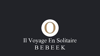 Il Voyage En Solitaire  Gerard Manset Cover B E B E E K [upl. by Maggee960]