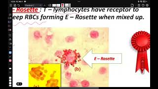 شرح عملي المايكرو الثاني immune assay سارة سامي [upl. by Ecinwahs]