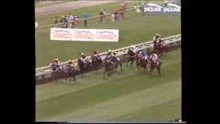 Castletown 1989 NZ Derby [upl. by Franek947]