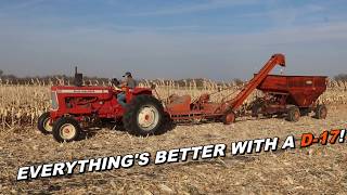 Allis Chalmers Show Corn Picking With The D17 and AC Model 35 Picker [upl. by Peonir812]