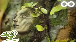 Dance of Life Relaxing Celtic Music for Meditation amp Sleep by Peder B Helland [upl. by Ynogoham536]