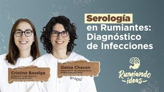 Fundamentos y utilidad de la serología en el diagnóstico de enfermedades infecciosas en rumiantes [upl. by Tressia861]