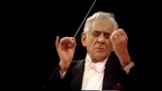 Gustav Mahler  Adagietto  Leonard Bernstein 4K [upl. by Mccutcheon39]