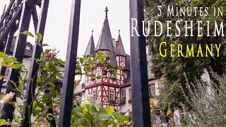 5 Minutes in Rudesheim Germany [upl. by Ajim258]