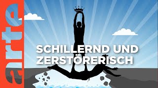 Die Wahrheit über Narzissmus Mehr als toxisch  Der Livetalk  ARTE Saloon [upl. by Mickelson]