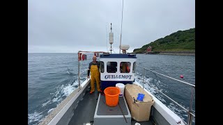 Commercial Lobster Fishing From Mousehole In Cornwall  Cygnus 21 Sustainable Fishing Small Boat [upl. by Ericksen]