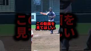 ㊗️110万再生この動画を見てほしい 野球サヨナラ捕手ボーク野球解説 [upl. by Suter]