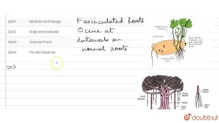 All given modification belong to adventitious roots except [upl. by Nonez]