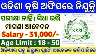 Odisha Agriculture Office Recruitment 2024  Odisha New Govt Job Updates  Odisha Latest Govt Jobs [upl. by Lurie]