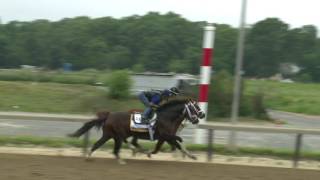 Belmont Stakes Contenders  Stradavari Workout [upl. by Trix96]