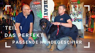 Das perfekt passende Hundegeschirr  Teil 1 [upl. by Oesile179]