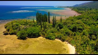 NEW CALEDONIA Grande Terre  Amazing Planet 4K 2020 [upl. by Faustus]