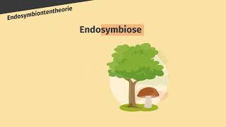 Endosymbiontentheorie – Entstehung der Chloroplasten und Mitochondrien einfach erklärt  sofatutor [upl. by Mauretta]