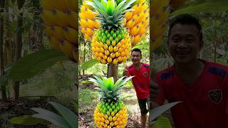 Survival Skills grafting Pineapple Fruit Banana fruit survival fruit banana Pineapple shorts [upl. by Amri]