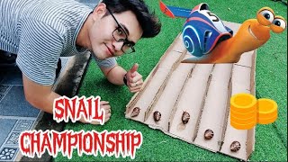 Snail Racing All Time and 1 Million for The Winner 1 [upl. by Bazar]