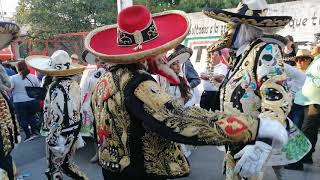 Comparsa Alazanes y camaxtli 2019 [upl. by Artina]